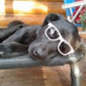 Meet your Posher, Jorden